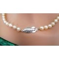 A stunning sea pearl necklace