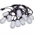 Loofah String With Hooks Warm White Lights 10 Bulbs, With Extension Port 220V 5M