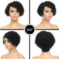 8 inch Brazilian Hair - Side Part Curly Wig