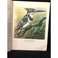A Handlist of the Birds of Southern Mocambique by PA Clancey - 39 Colour Plates and Maps | Scarce