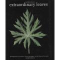Extraordinary Leaves by Dennis Schrader, with photographs by Stephen Green-Armytage