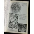 The Moon A Biography by David Whitehouse