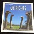 Ostriches by Cecilia Coelle Volker Janssen