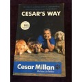 Cesar`s Way