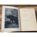 Biffel - The Story of a Trek-ox Stanley Portal Hyatt 1909