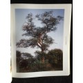 African Trees: A Photographic Exploration by Charles Bryant and Brita Lomba