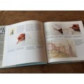 The Encyclopedia of Coloured Pencil Techniques by Judy Martin