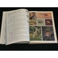 Southern African Birds ~ A Photographic Guide by Ian Sinclair and Ian Davidson