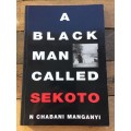 A Black Man Called Sekoto by N. Chabani Manganyi