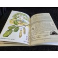 The Shell Field Guide to the Common Trees by Veronica Roodt