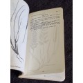 Common Veld Grasses of Rhodesia | Rhodesiana