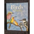 Birds for Beginners in Southern Africa by Philip Coetzee