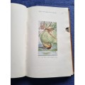 Land and Sea Birds of the South West Cape by R C Bolster