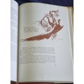Birds of Prey a Kinship by H Von Michaelis