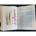 The Genus Watsonia by Peter Goldblatt | A Systematic Monograph