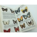 Collins Handguide to the Butterflies of Africa - RH Carcasson First Edition 1981