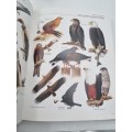 The Illustrated Encyclopaedia of Birds - Dr Christopher M Perrins