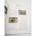 Attracting Birds to Your Garden in Southern Africa - Roy Trendler & Lex Hes | Great Condition