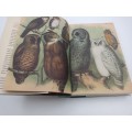 The Bedside Book of Birds: An Avian Miscellany by Graeme Gibson