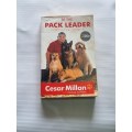 Be the Pack Leader - Cesar Millan