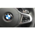 BMW steering badge - Original color