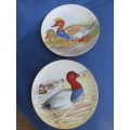 Pair of Imperial Imari Limited Collectors plates with ducks