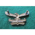 SOUTH  AFRICA -BORDER WAR - SOUTH AFRICAN AIR FORCE CADET CORPS CAP BADGE