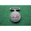 South Africa -  SANDF - Miniature Operational Medal for Southern Africa