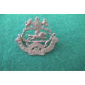 SOUTH AFRICA - NATAL CADET CORPS COLLAR BADGE ?
