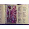Anatomical Atlas - St. John`s Ambulance Association