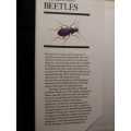 Beetles - A Field Guide in Colour