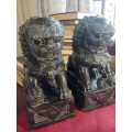 A pair of Antique Chinese Foo Dogs (Lions)