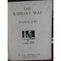 The Radiant Way - Fourth Step - Large Print Childrens` Storybook