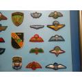 Framed Set of Parachute Wings & Badges