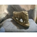 Stone Warthog