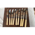 9 Vintage Superior Quality BRUCUT Bone Handle Sheffield Stainless steel Knifes 6 x 207mm  3 x 235mm