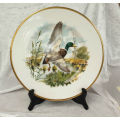 Collectable Royal Chelsea Bone China Birds of the Countryside Decorative Plate  `THE MALLARD`  276mm