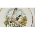 Collectable Royal Chelsea Bone China Birds of the Countryside Decorative Plate  `THE MALLARD`  276mm