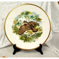 Collectable Royal Chelsea Bone China Birds of the Countryside Decorative Plate "THE WOODCOCK"  276mm