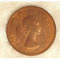 1957 South Africa Union ½ Penny - Elizabeth II 1st portrait