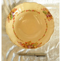 Vintage J&G Meakin "Sunshine" Pattern Regd. SOL391413 Salad Bowl- 67x225mm