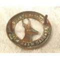 Vintage South African Cap Badge, UNION IS STRENGTH - EENDRACHT MAAKT MACHT 39mm