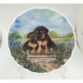 1995 Royal Albert Plate 'Playful Puppies 'Origanal Artwork By David Ward