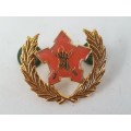 South African Army Volunteer Service Award, awarded for 5 years volunteer service 30x27