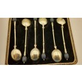 Antique or Vintage Silver Plate Coffee Bean Spoons EPNS made in England -Boxed 115mm