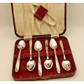 6 Vintage-Angora Silver plated EPNS Tea Spoons and Sugar Tongs in Original box Made in England