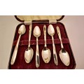 6 Vintage-Angora Silver plated EPNS Tea Spoons and Sugar Tongs in Original box Made in England