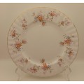Vintage Royal Albert  `Peach Rose` Fish /Salad Plate (6 available) 205mm