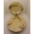 2 Vintage Crown Ducal Florentine Rosalie Plates 33mmx227mm made in England (Bid is for both)