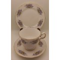 Vintage Queen Anne  Fine Bone China Trio- Ridgway Potteries (5 Available)